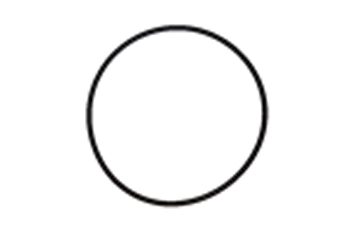 O-ring